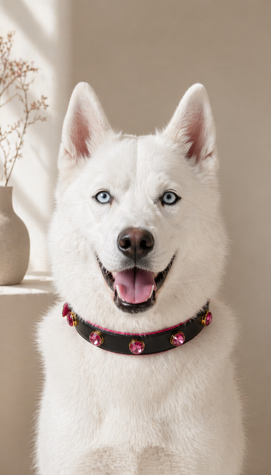 Pawdrip Kaalu OG