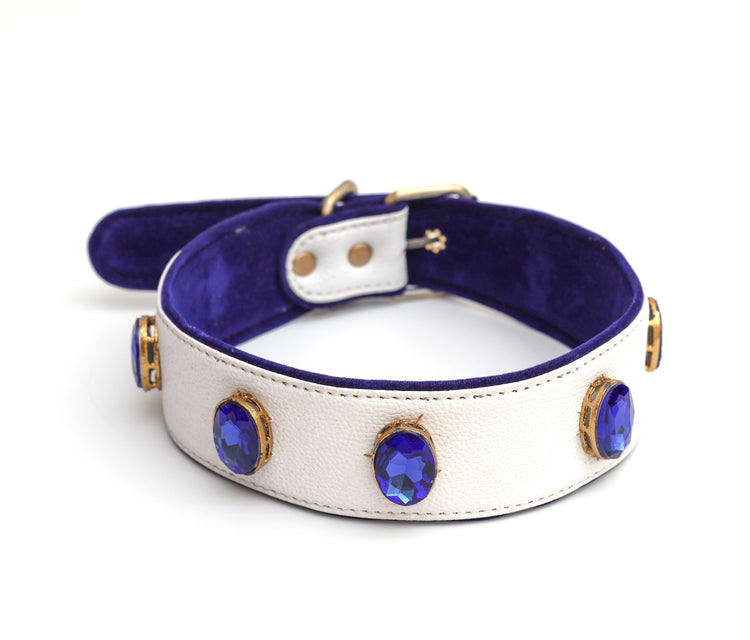 Pet collar (Blue ocean )