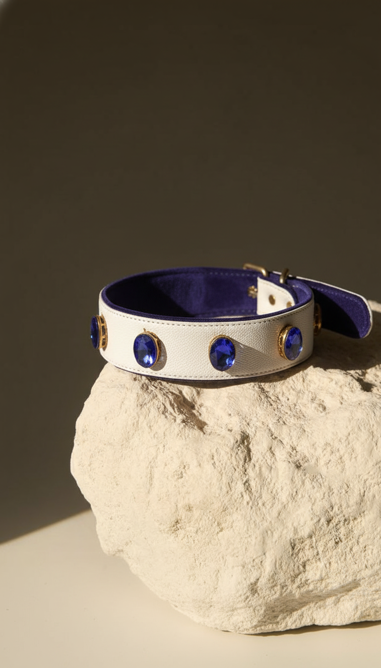 Pet Collars & Leashes