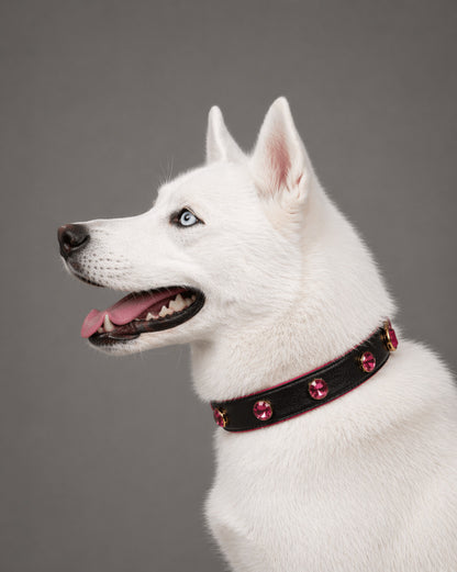 Pawdrip Kaalu OG