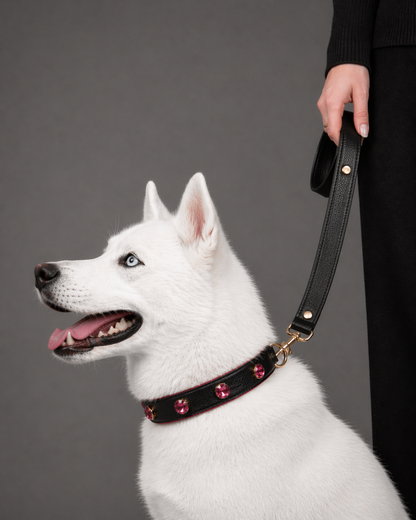 Pawdrip Kaalu OG