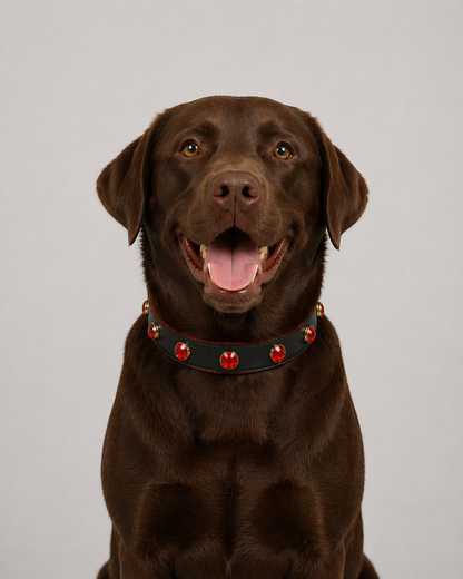 Pawdrip Kukur Tihar