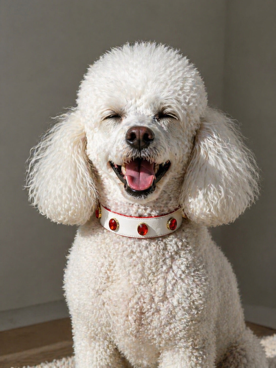 Pawdrip Wafadar