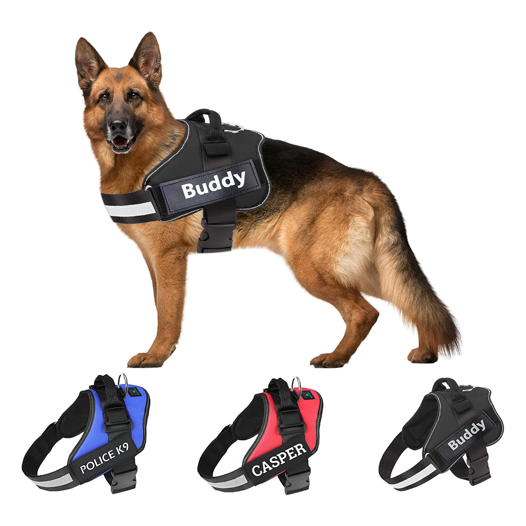 No Pull Reflective Personalized Dog Harness Blue