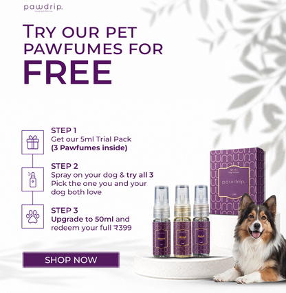 PawDrip Trial pack (3×5ml)